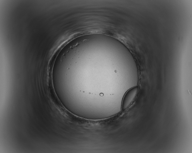 X0000086330194200704131729