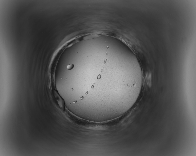 X0000086330198200704131729