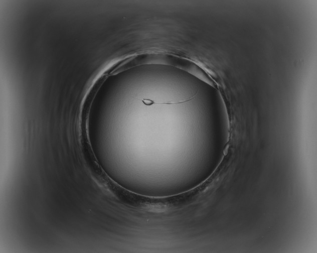 X0000086330200200704131729