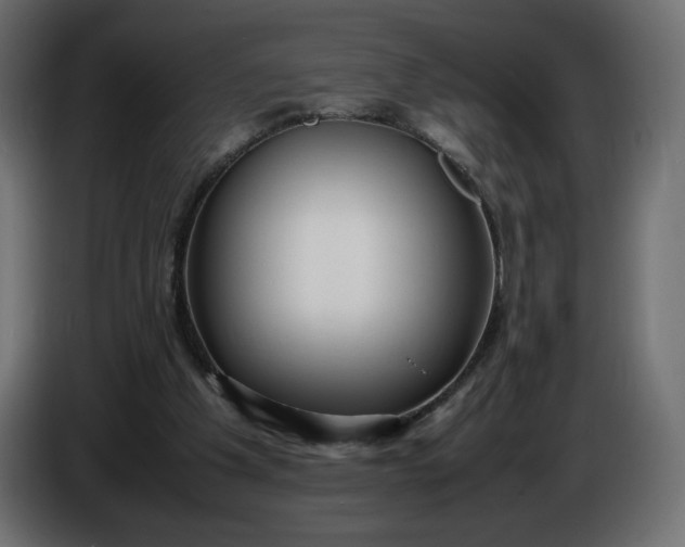 X0000086330201200704131729