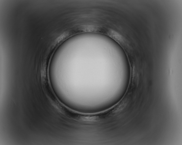 X0000086330202200704131729