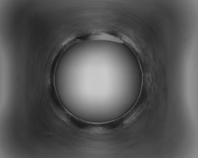 X0000086330203200704131729