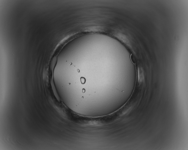 X0000086330204200704131729