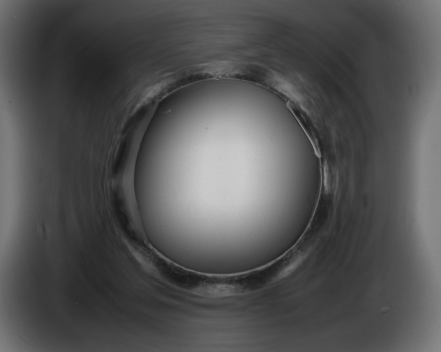 X0000086330205200704131729