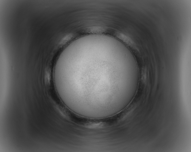 X0000086330206200704131729