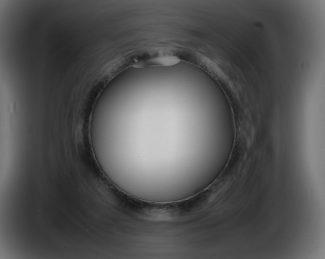 X0000086330209200704131729