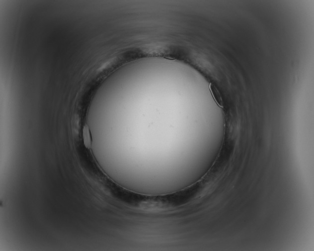 X0000086330211200704131728