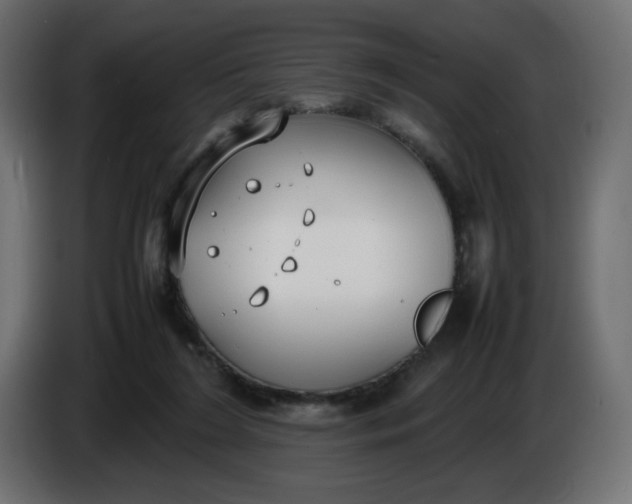 X0000086330212200704131728