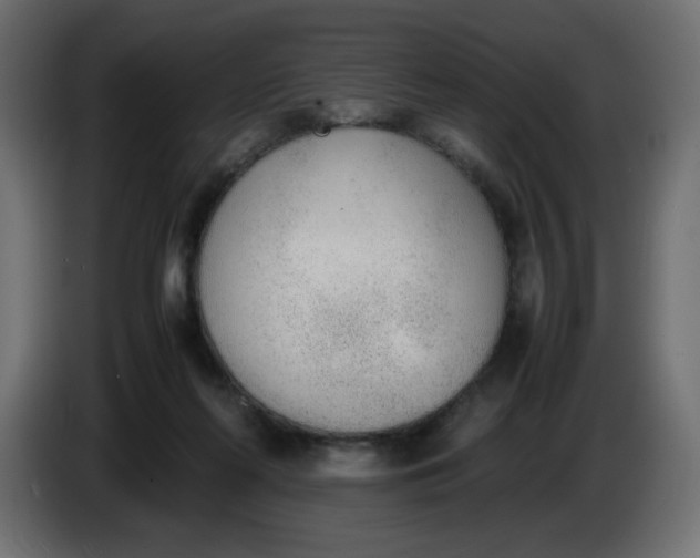 X0000086330214200704131728