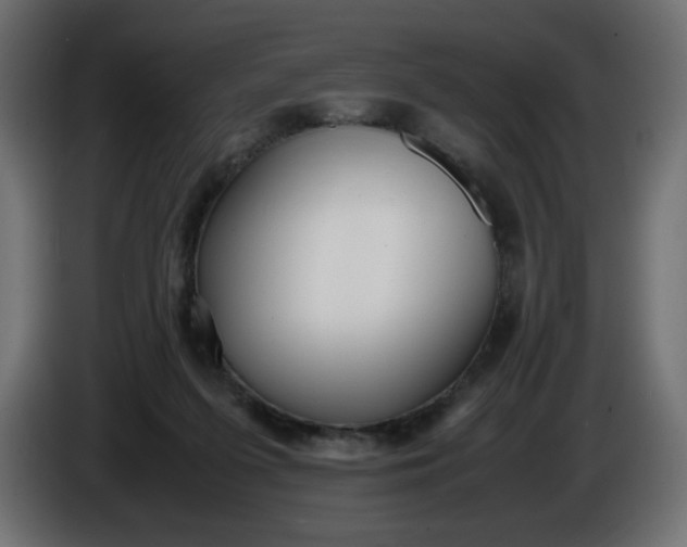 X0000086330215200704131728