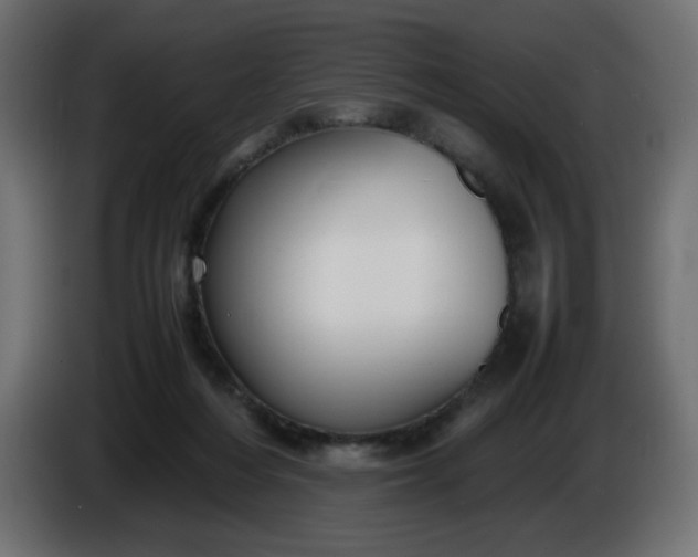 X0000086330216200704131728