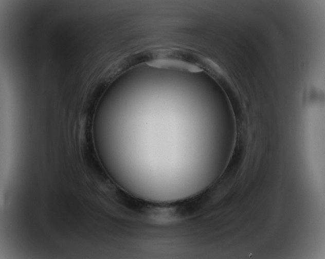 X0000086330217200704131728