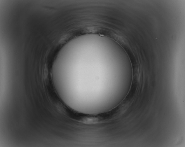 X0000086330220200704131728