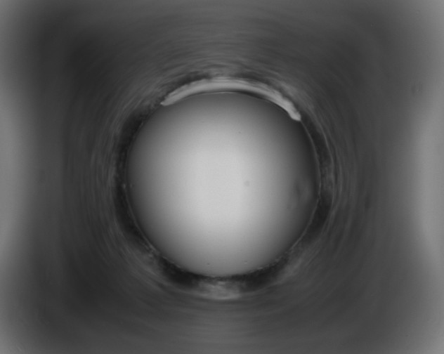 X0000086330221200704131728