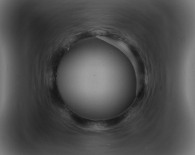 X0000086330223200704131728