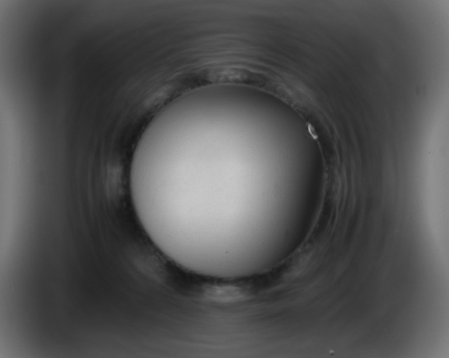 X0000086330224200704131728