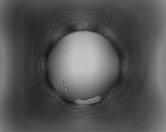 X0000086330226200704131728