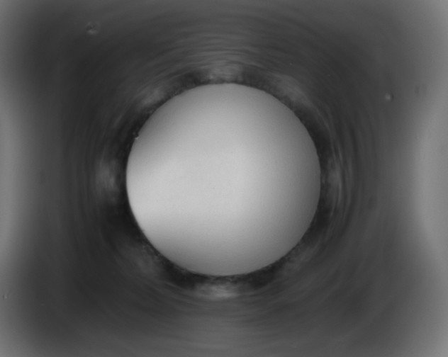 X0000086330228200704131728