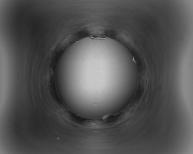 X0000086330229200704131728