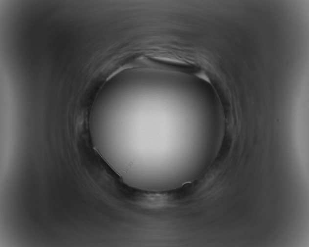 X0000086330233200704131728