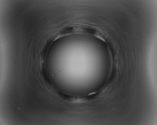 X0000086330235200704131728