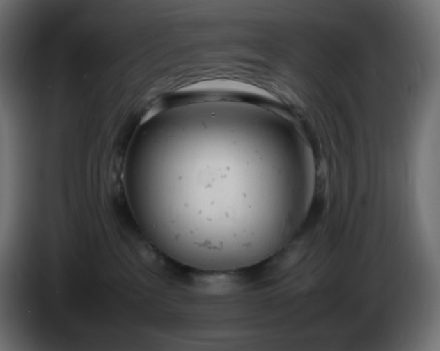 X0000086330237200704131728