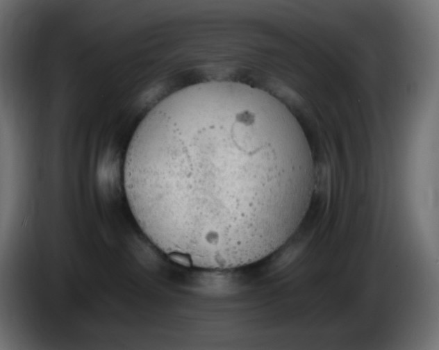 X0000086330238200704131728