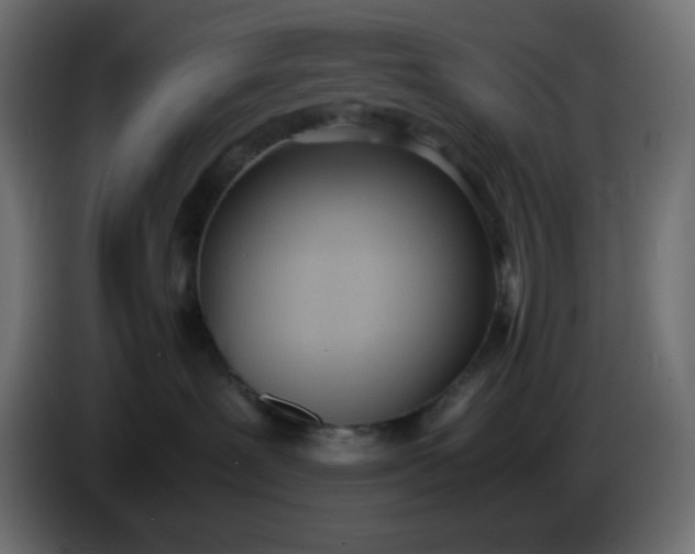 X0000086330239200704131728