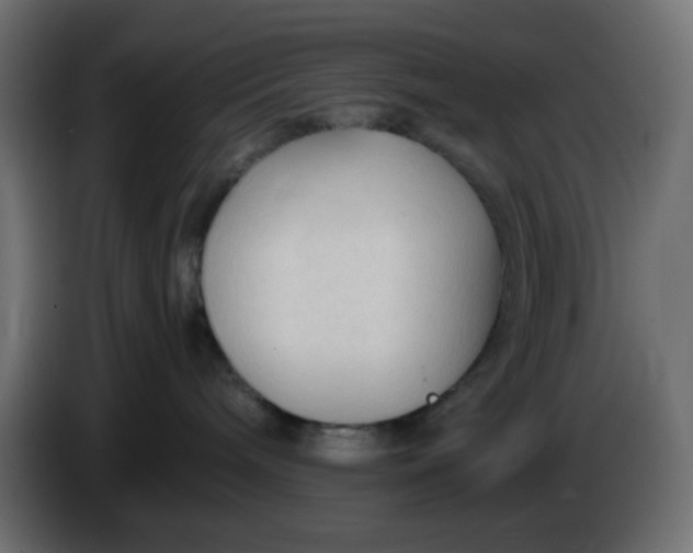 X0000086330240200704131728