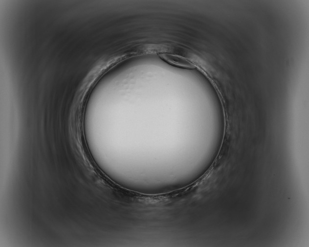 X0000086330241200704131727