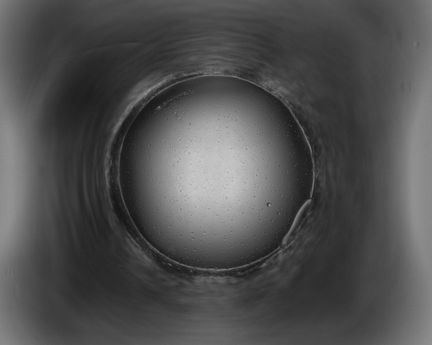 X0000086330242200704131727