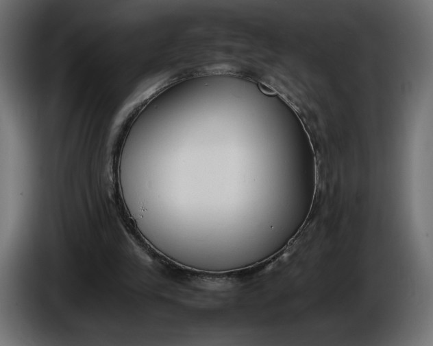 X0000086330245200704131727