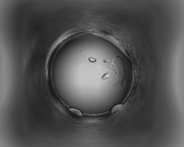 X0000086330246200704131727