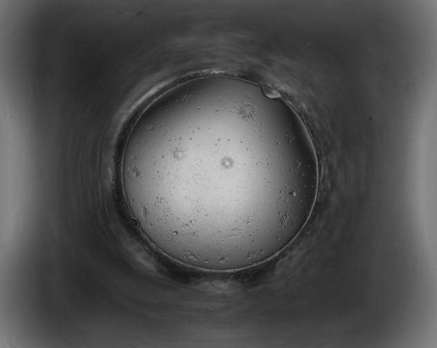 X0000086330247200704131727