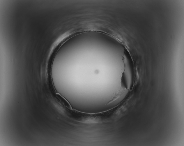 X0000086330248200704131727