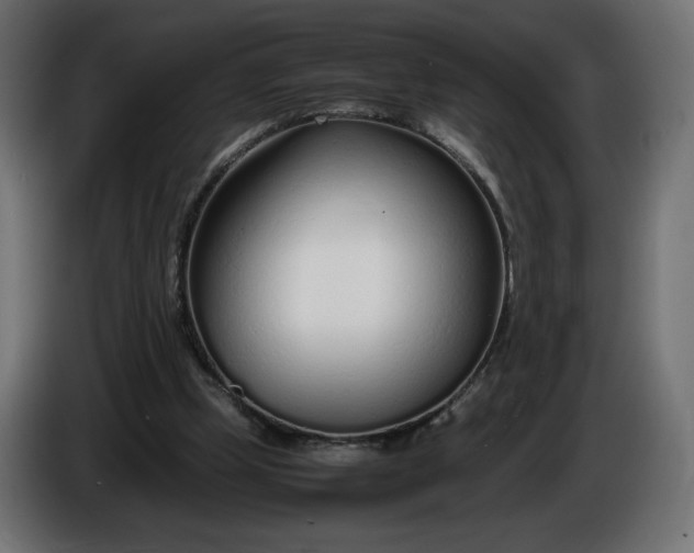 X0000086330249200704131727