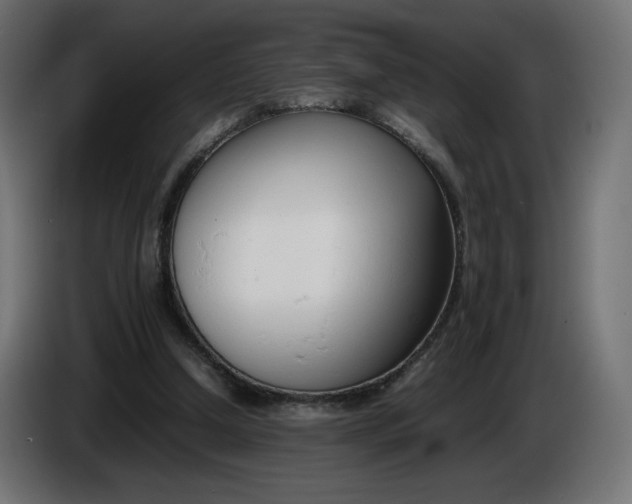 X0000086330250200704131727