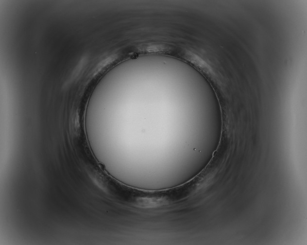 X0000086330251200704131727