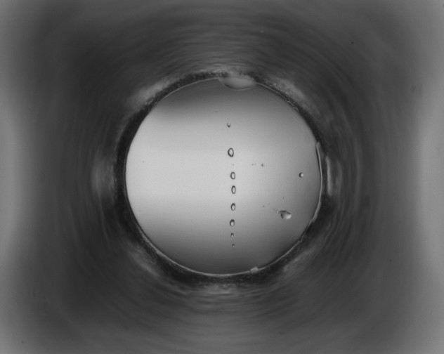 X0000086330252200704131727