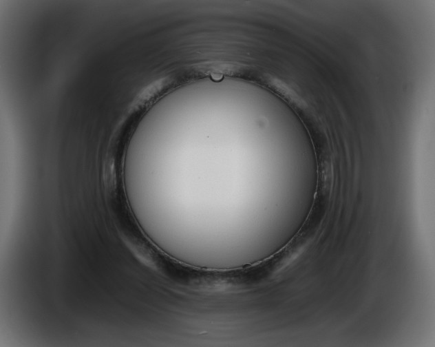 X0000086330254200704131727