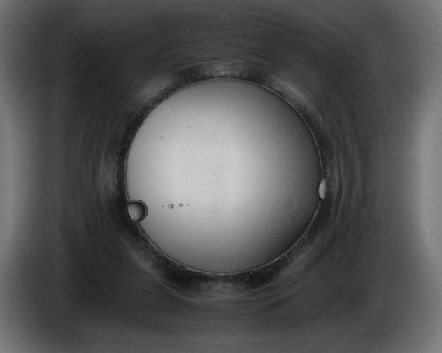 X0000086330255200704131727