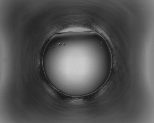 X0000086330257200704131727