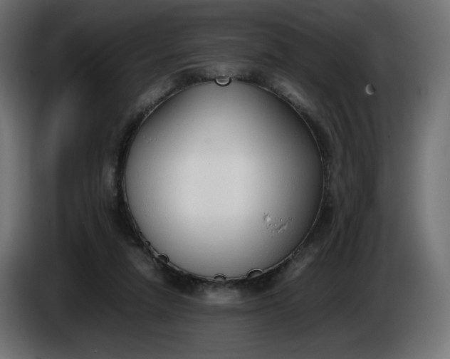 X0000086330258200704131727