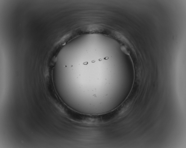 X0000086330260200704131727