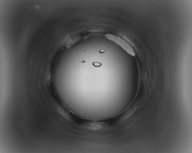 X0000086330261200704131727