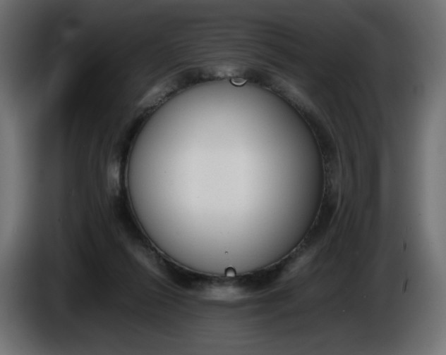 X0000086330262200704131728