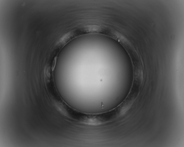 X0000086330264200704131728