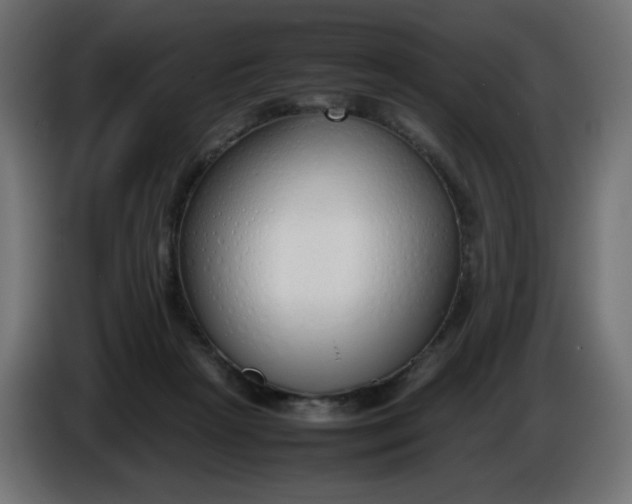 X0000086330265200704131728