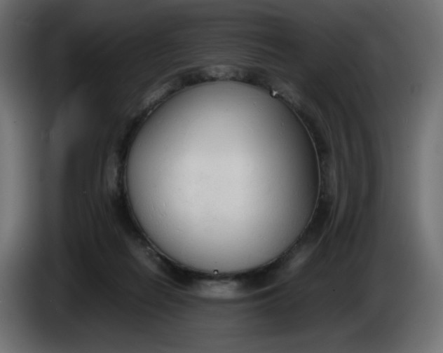 X0000086330266200704131728