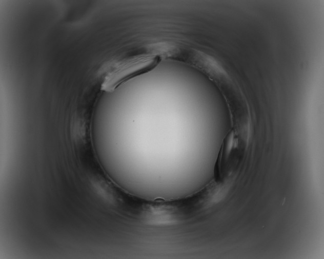 X0000086330268200704131728